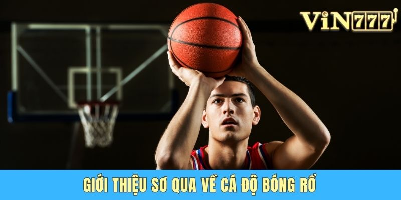 Cá Cược Bóng Rổ Vin777 – Bí Kíp Cao Thủ Chơi Hiệu Quả Giới thiệu sơ qua về cá độ bóng rổ